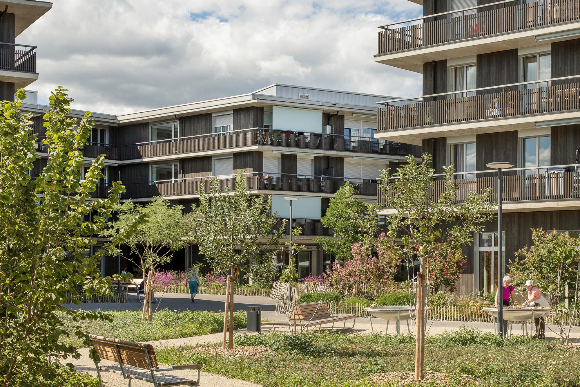 approches-sante-social-campules-yves-andre-gi-2