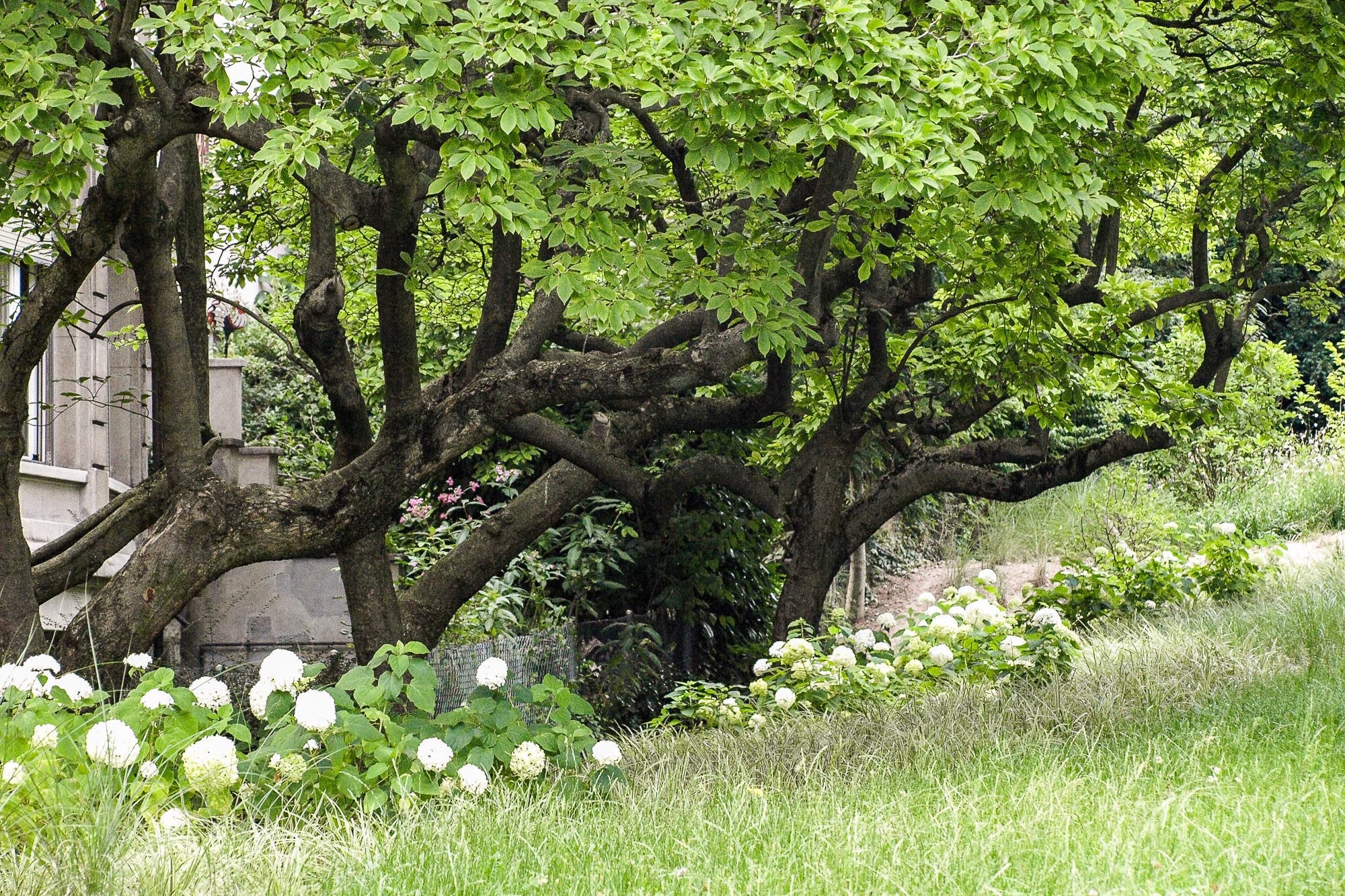 approches-espaces-publics-lausanne-m2-def-ba