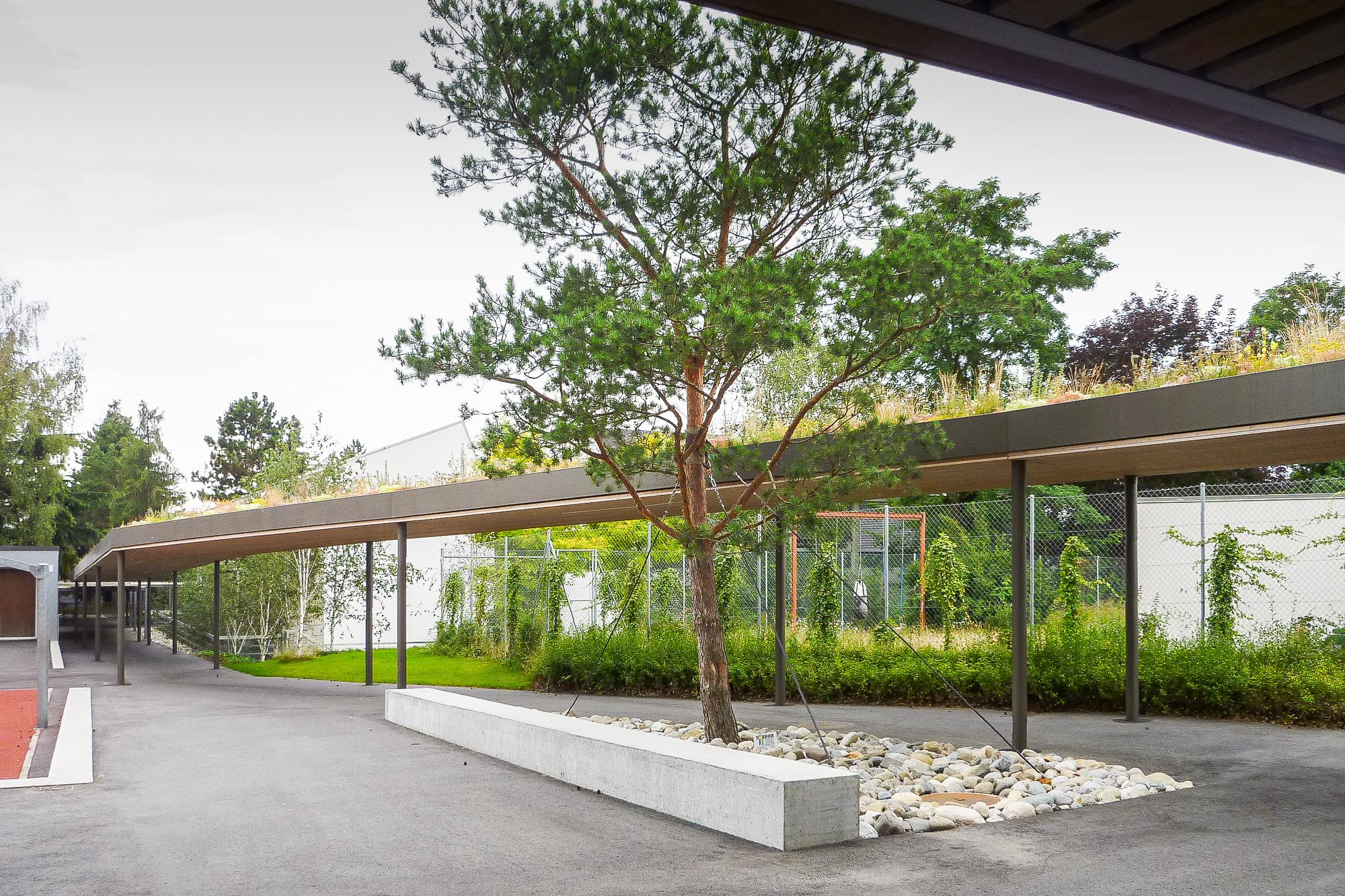 approches-complexes-scolaires-estavayer-cycle-d-orientation-def-ba