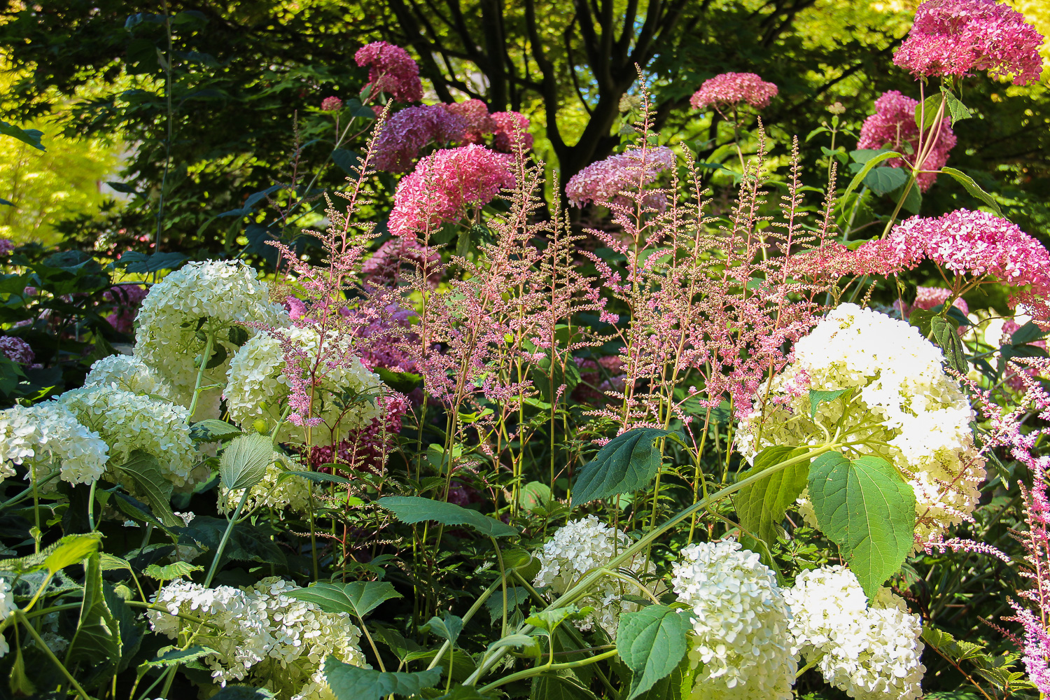 approches-jardins-prives-presinge-def-ba-2