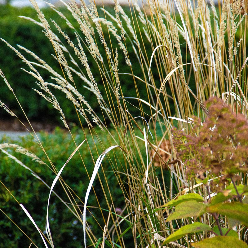 approches espaces publics fribourg musee def ca