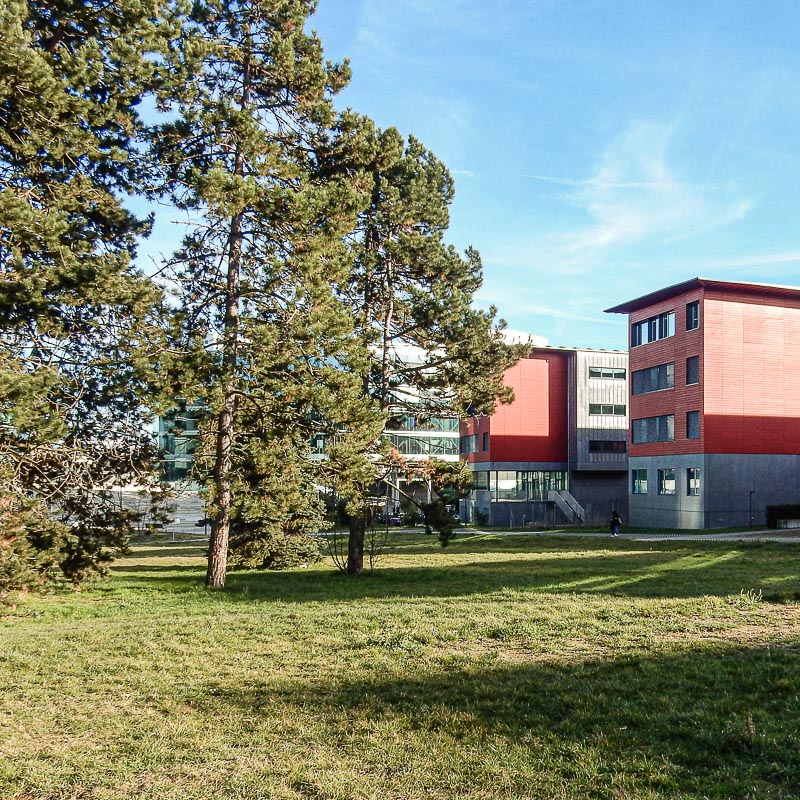 approches etudes rigot ca 11