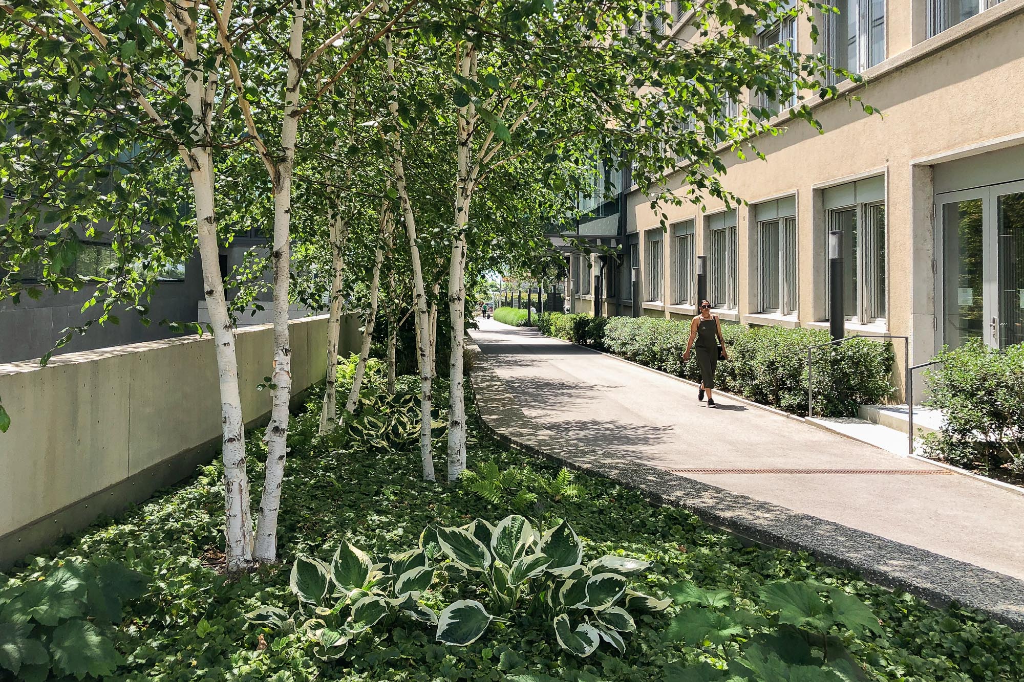 la tour de peilz nestlé entre deux villes